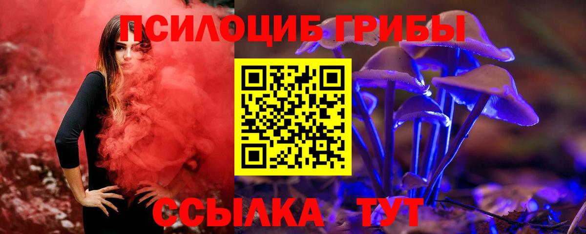 Галлюциногенные грибы GOLDEN TEACHER Каменск-Уральский